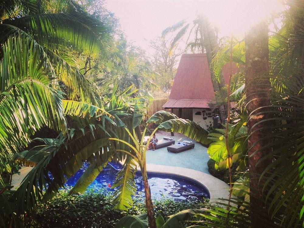 The Sunset Shack Hotel Nosara Ngoại thất bức ảnh