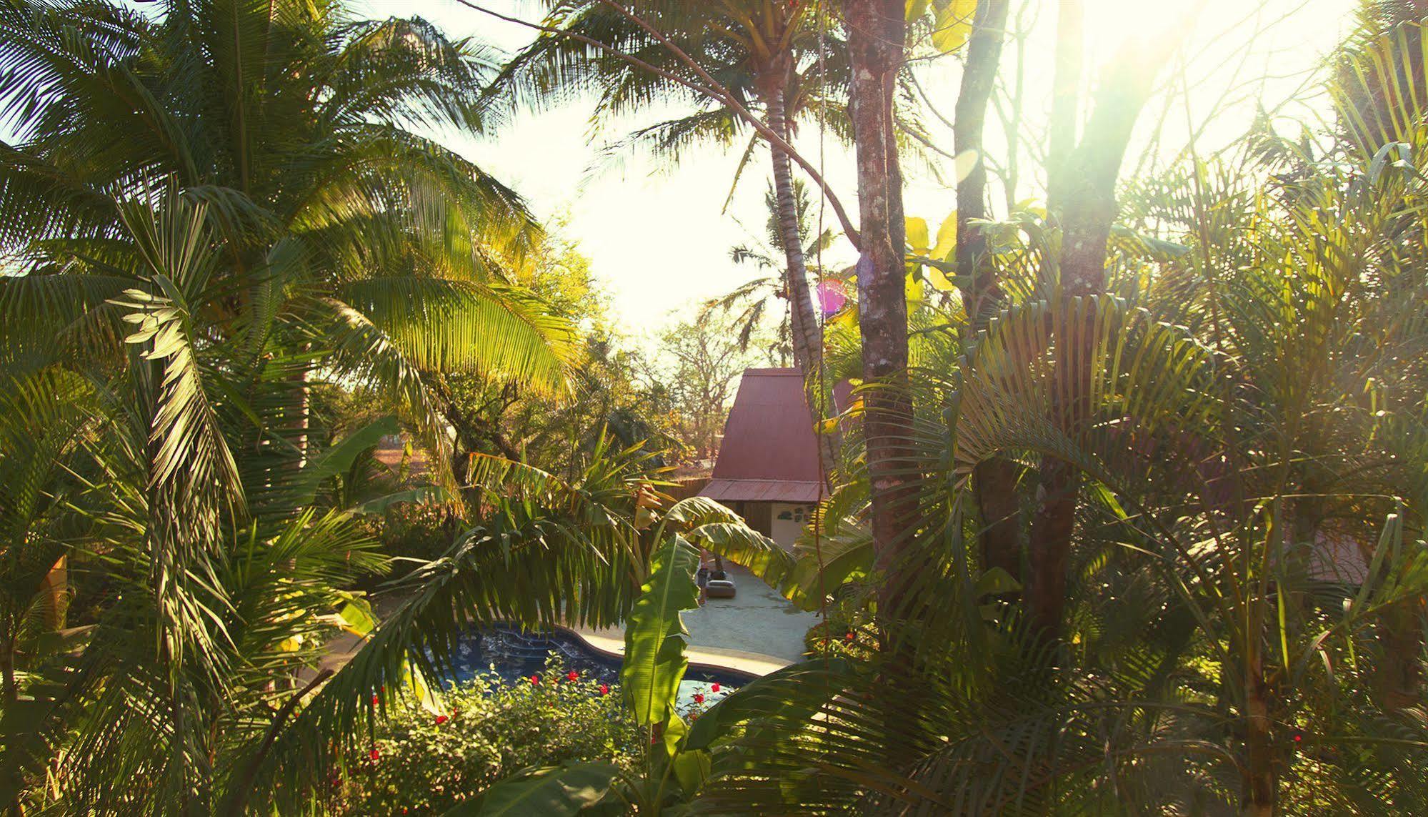 The Sunset Shack Hotel Nosara Ngoại thất bức ảnh