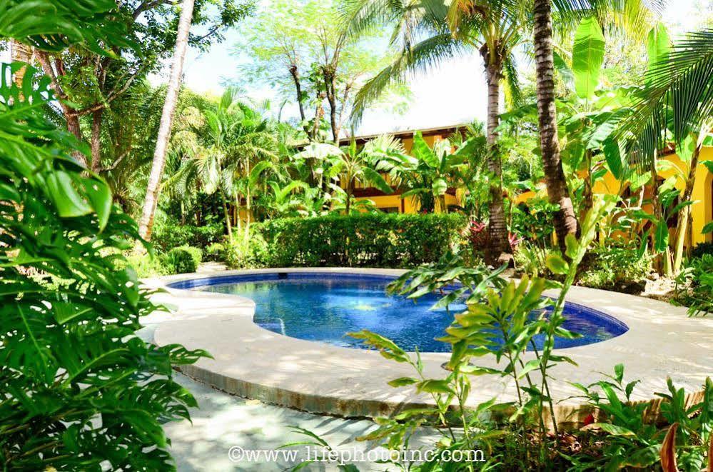 The Sunset Shack Hotel Nosara Ngoại thất bức ảnh