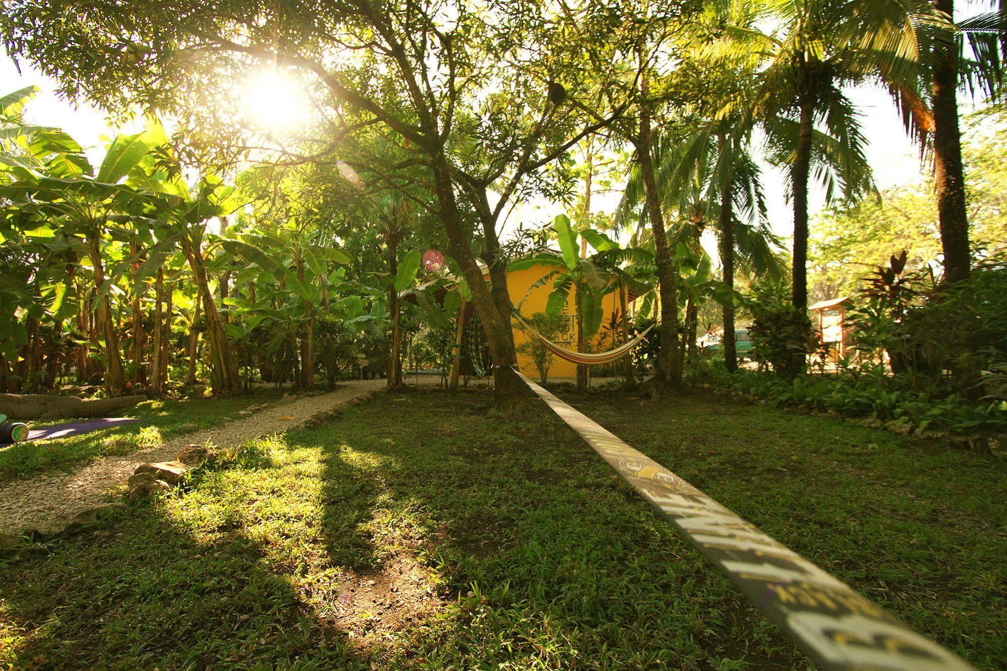 The Sunset Shack Hotel Nosara Ngoại thất bức ảnh